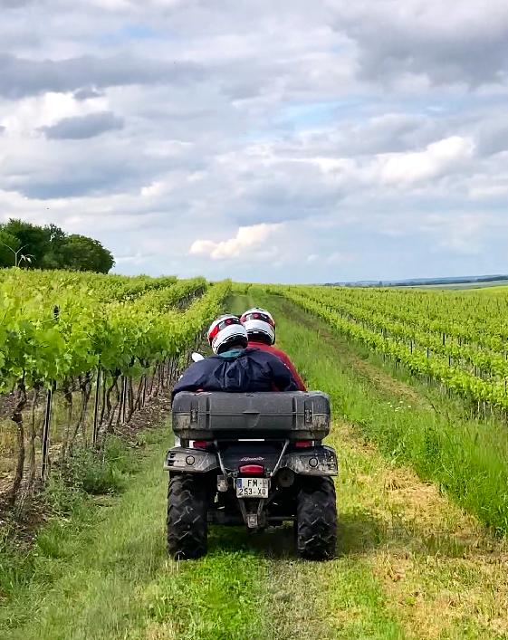 Droles de Cognac Excursions Quad